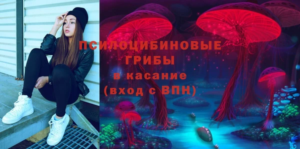 МДПВ Арсеньев