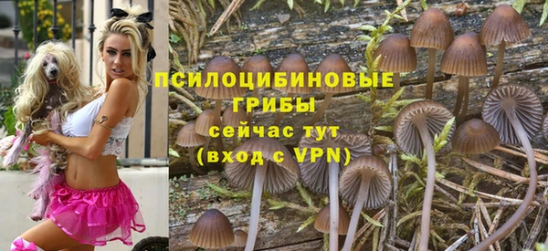 МДПВ Арсеньев