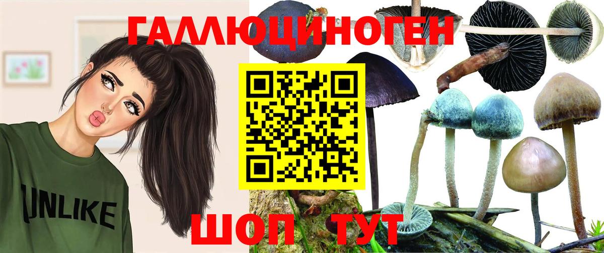 Ессентуки  Псилоцибиновые грибы Psilocybe  Галлюциногенные грибы Magic Shrooms  Вход с VPN 